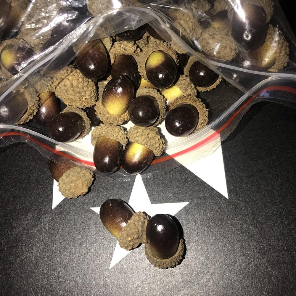 200 Artificial Acorns